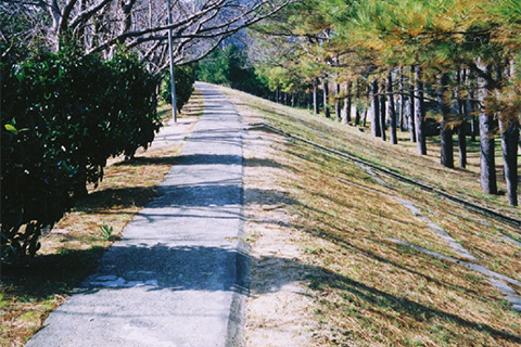 広村堤防