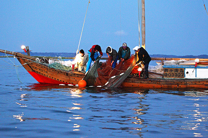 伝統の帆曳き網漁