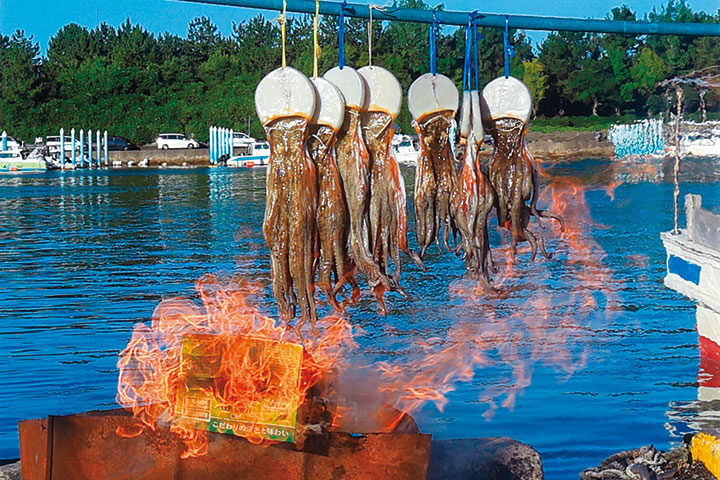 干しダコの季節